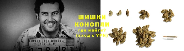 молекула духа Аркадак