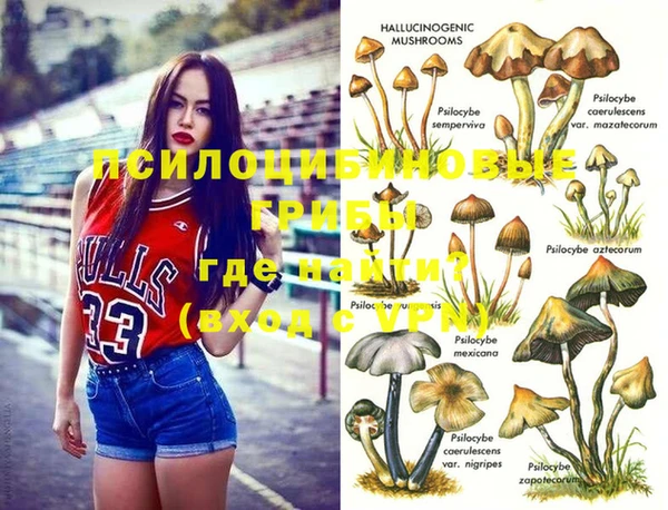 хмурый Армянск